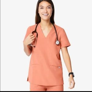 Coral Casma Figs Scrub Top Small
